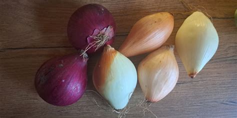 Prikaz narezane piščančje drobovine, čebule na liste in začimb, pripravljenih za praženje.