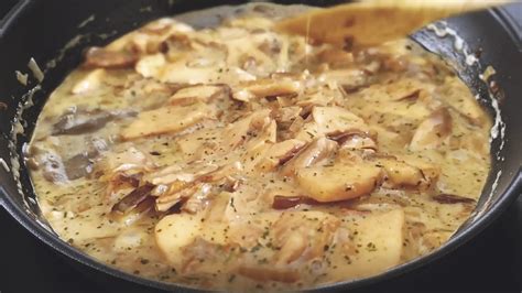 Thematic photo of a delicious plate of turkey steaks with porcini mushrooms in a creamy sauce