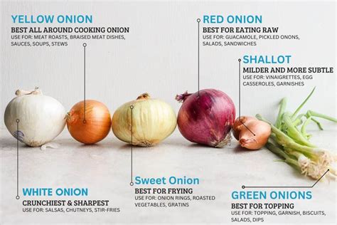 Infographics on the types of onions and their uses in goulash.
