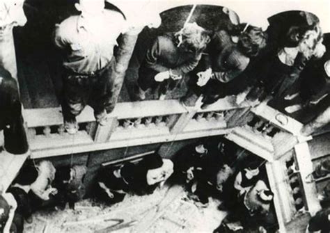 Fotografija: Kuleni, obešeni v tradicionalni zorilni komori