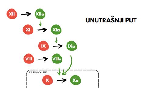 Diagram: Različne temperature koagulacije beljaka in rumenjaka