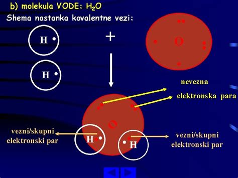 shema molekule vode in vodikovih vezi