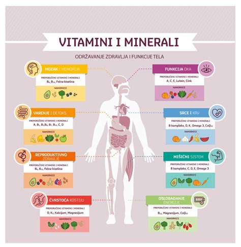 Infografika z vitamini in minerali v kislem zelju