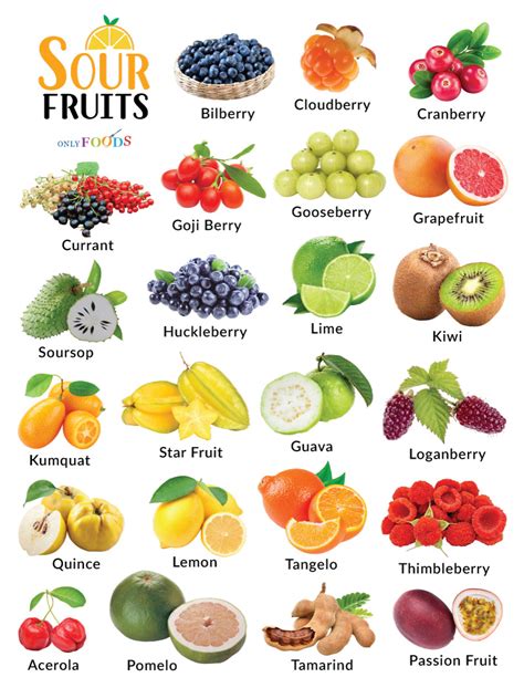 Infographic showing different types of cream (sweet, sour, plant-based) and their uses in sauces