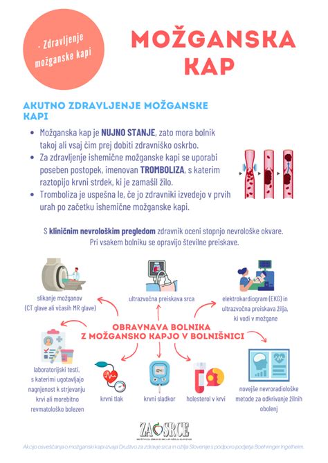 Shema vpliva čokolade na možganske receptorje (infografika)