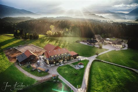 Tematska fotografija: konji na Ranču Burger Veniše v naravnem okolju