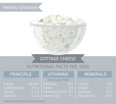Infographic on the nutritional values of cottage cheese (proteins, minerals, vitamins)