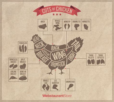 Infographic showing different cuts of chicken meat suitable for stew