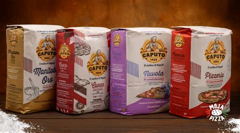Vizualna primerjava različnih vrst moke Caputo za pico