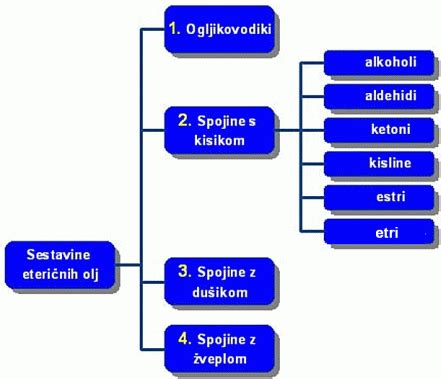 Infografika: Kemijska sestava in reakcija črnega smodnika