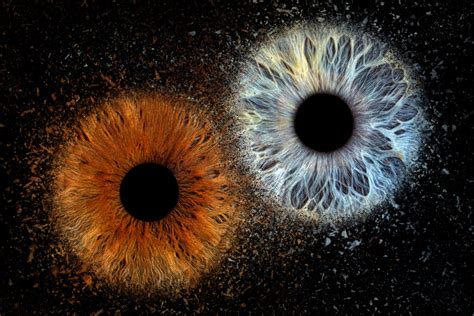 fotografija osvežujočega gaspača