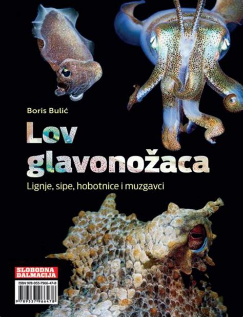 shema: primerjava hobotnice, lignja in sipe
