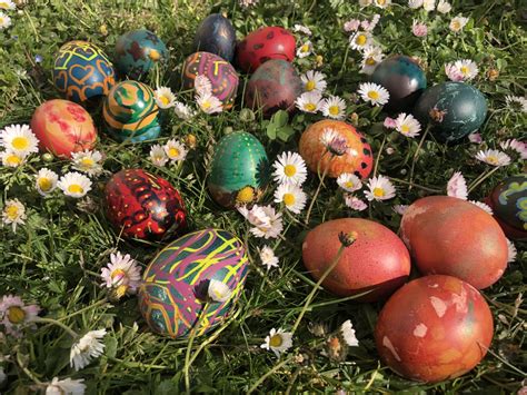 Velikonočna jajca, obarvana z živahnimi rumeno-zlatimi odtenki kurkume.