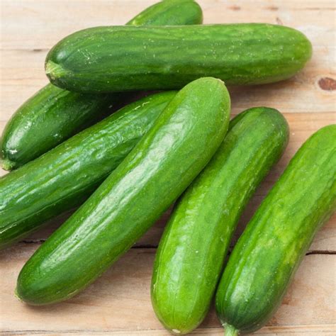 Thematic photo of fresh cucumbers