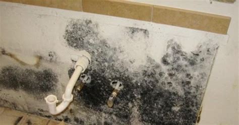 shema, ki prikazuje, kako varno odstraniti plesen s trdega sira