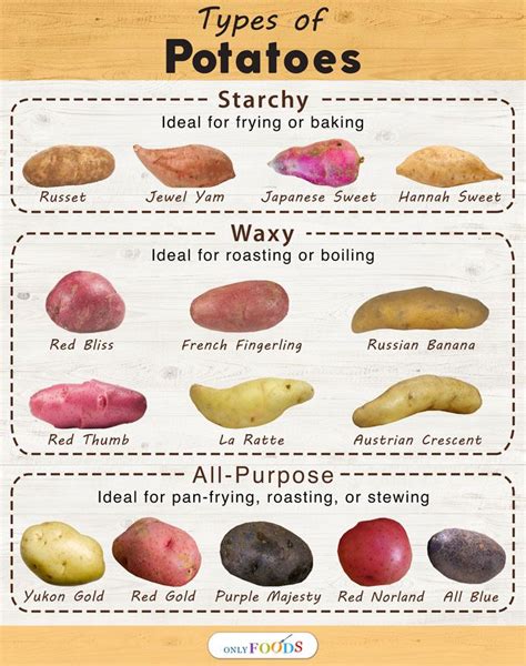 Infographic showing different types of potatoes suitable for salads
