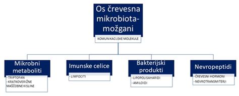 shema povezave med prehrano, črevesno mikrobioto in imunskim odzivom