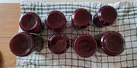 Fotografija polnjenih kozarcev marmelade iz aronije in jabolk, pripravljenih za shranjevanje