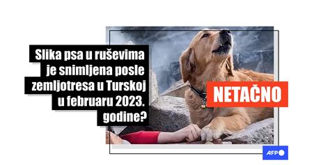 Ilustracija psa, ki veselo je iz svoje sklede s kuhano hrano.