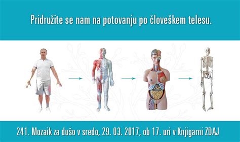 Shema čiščenja lignja: prikaz odstranjevanja notranjih organov, hrustanca in kože.