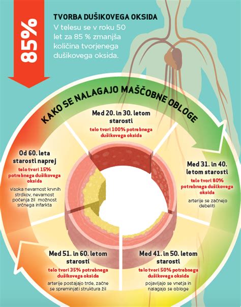 infografika, ki prikazuje pretvorbo nitratov iz pese v dušikov oksid v telesu