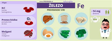 infografika: prikaz različnih vrst rdečega mesa in ključnih hranil (beljakovine, železo, B12, cink)
