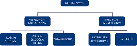 shema vpliva kostne juhe na prebavo in imunski sistem