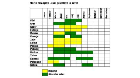 Shema: Različne vrste zelenjave in začimb, ki se uporabljajo za jušno osnovo