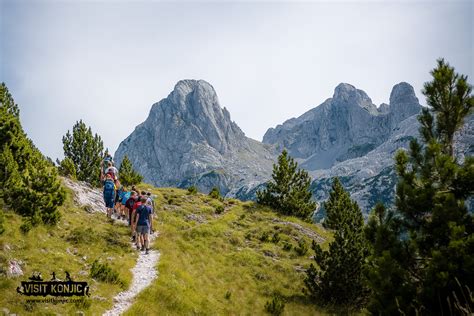 Temno zelena glava brokolija s čvrstimi stebli