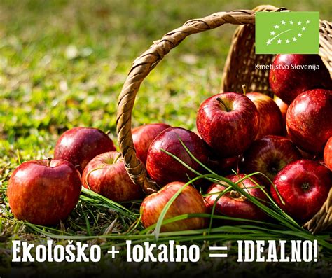 Infografika: