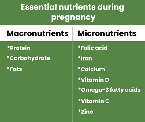 Infographic on essential micronutrients for pregnancy
