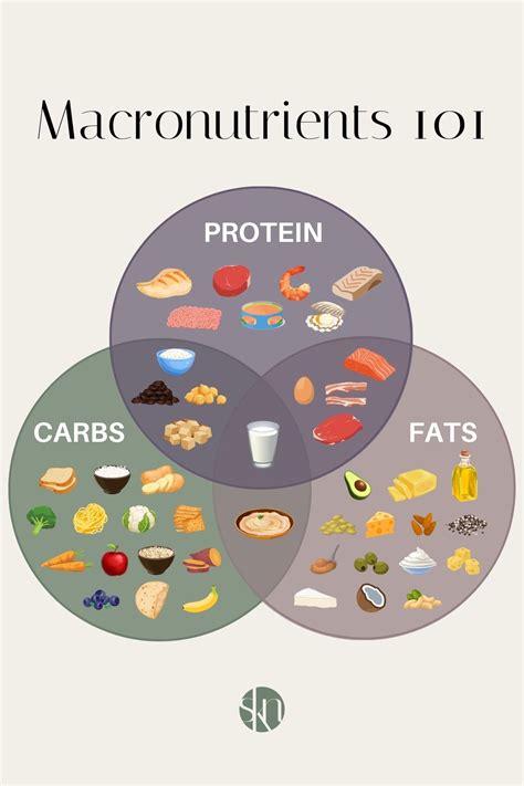 Infographic showing the structure of an LCHF diet (e.g., breakdown of macronutrients).