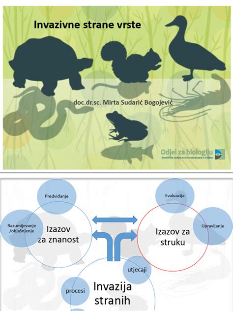 infografika: invazivne živalske in rastlinske vrste v vodnih ekosistemih
