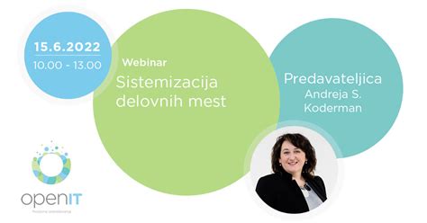 Shema: Proces sistemizacije delovnih mest
