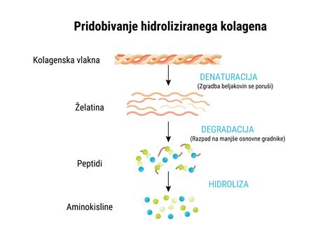 Shema: Prikaz komplementarnosti aminokislin pri kombiniranju stročnic in žit za popoln beljakovinski obrok.