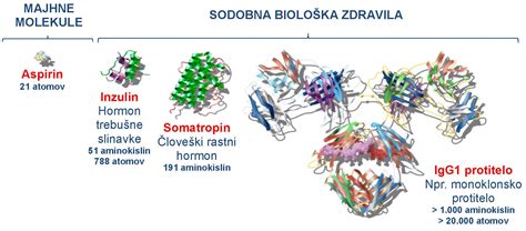 Infografika: Prikaz bioloških procesov v telesu, pri katerih sodeluje cink (imunski sistem, sinteza DNK, celjenje ran, presnova)