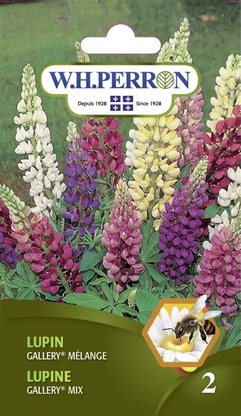 Tematska fotografija bučnih semen in lupin