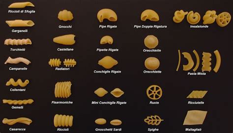Infografika različnih oblik italijanskih testenin in njihovih regij