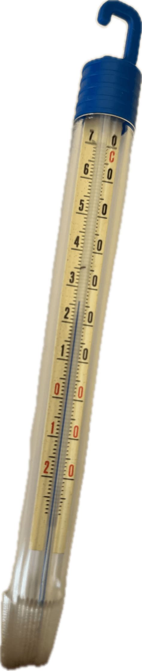 Ilustracija uporabe termometra za preverjanje temperature piščanca
