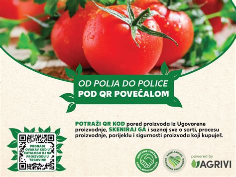 Shema: Pot kontaminacije zelene solate od polja do potrošnika