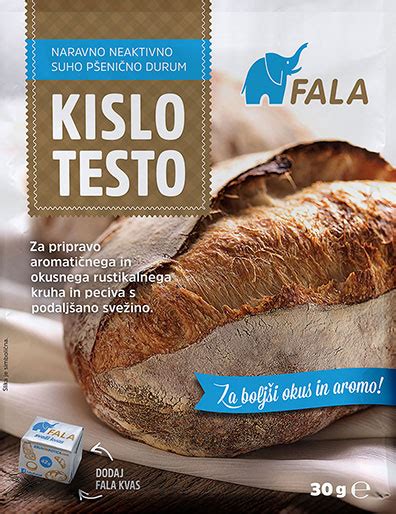 kolaž različnih vrst zdravega kruha (ržen, oopsie, kislo testo, Ezekiel, koruzne tortilje)
