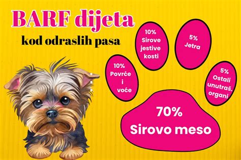infografika razmerij BARF prehrane za pse