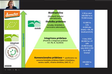 Infografika, ki prikazuje ključne dejavnike uspeha v gostinstvu: kakovost hrane, odzivnost in organizacija