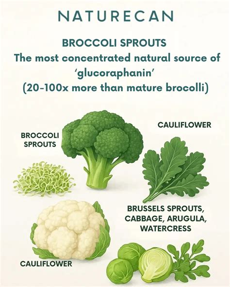 Infographic: How to maximize sulforaphane in broccoli