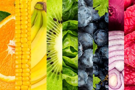 Ilustracija raznolikega zelenjave in sadja, ki predstavlja vegetarijansko prehrano.