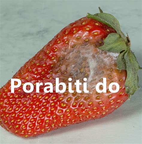 Infografika, ki ponazarja razliko med 'Uporabno najmanj do' in 'Porabiti do'
