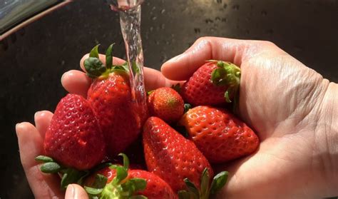 Tematska fotografija: Roke, ki umivajo sadje pod tekočo vodo