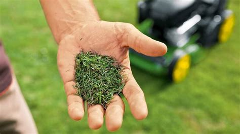 Thematic photo of mulching with grass clippings