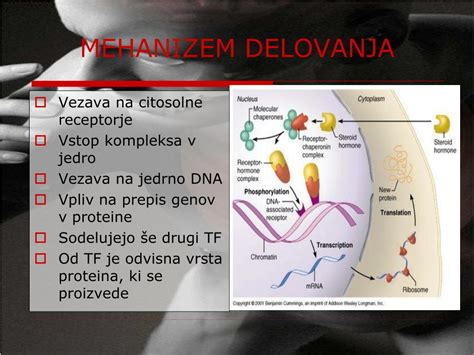 Infografika: Mehanizem delovanja semaglutida in vpliv na hedonistične centre v možganih.