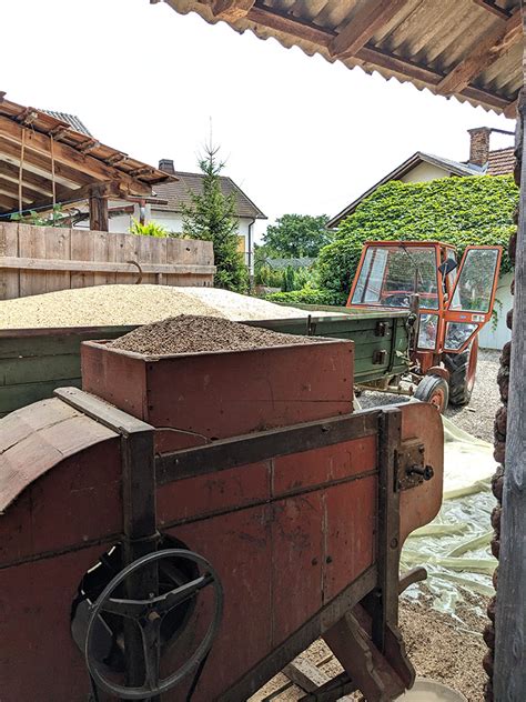 Fotografija vreče pirine moke in posušenih zrn pire